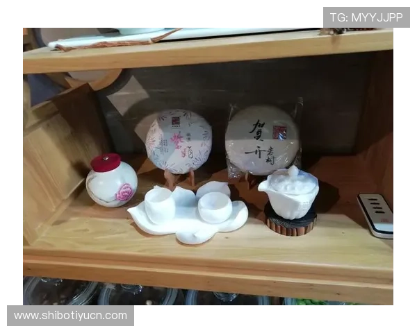 博鱼体育网页版多平台同步支持实现多设备无缝切换满足不同用户的多样需求