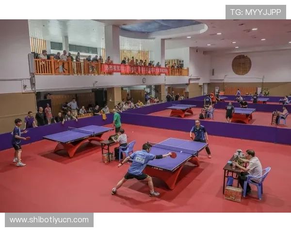 易倍体育乒乓球装备推荐与选购指南打造专业比赛装备提升竞技表现